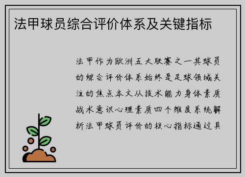 法甲球员综合评价体系及关键指标